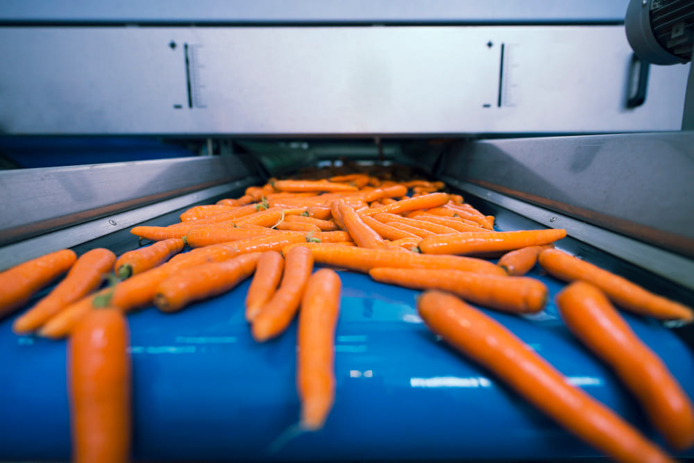 Los cepillos técnicos son muy importantes en la industria alimentaria.